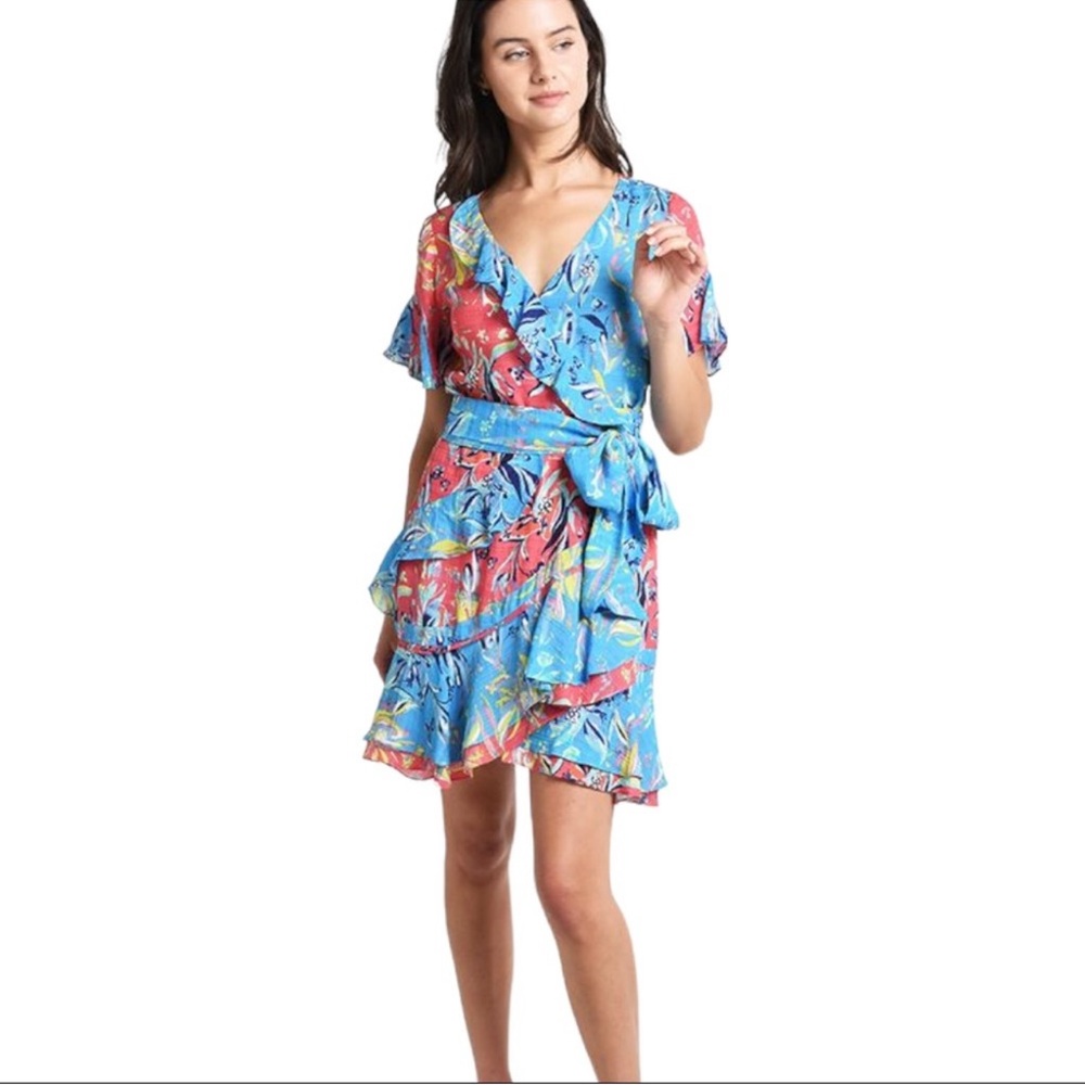 Tanya Taylor Bianka Dress in Botanical Floral się 4 blue ruffle detail v-neck
